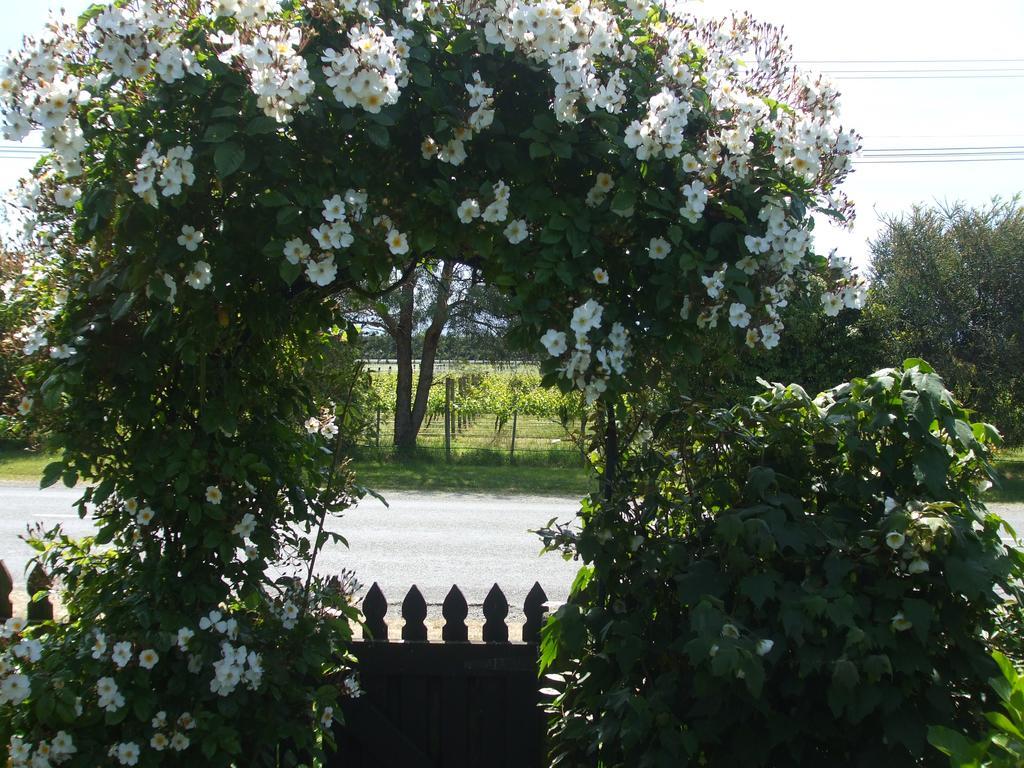 Villa In The Vines Martinborough Exterior photo