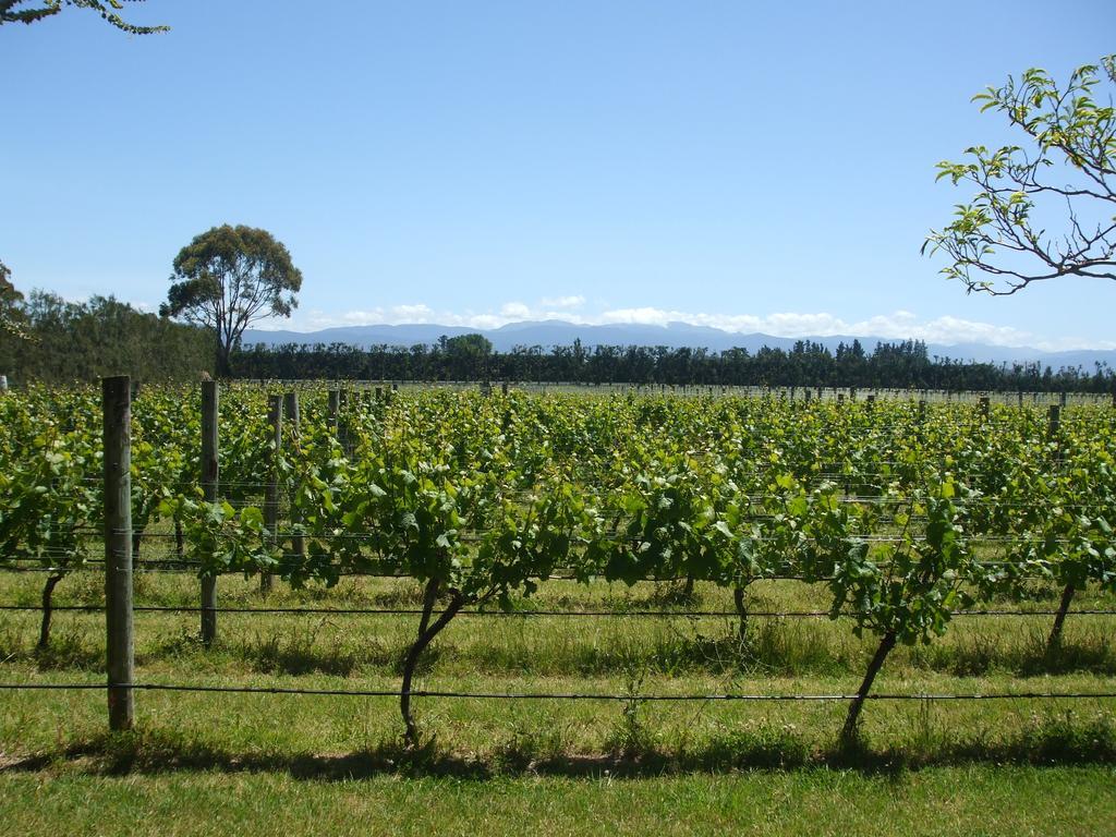 Villa In The Vines Martinborough Exterior photo