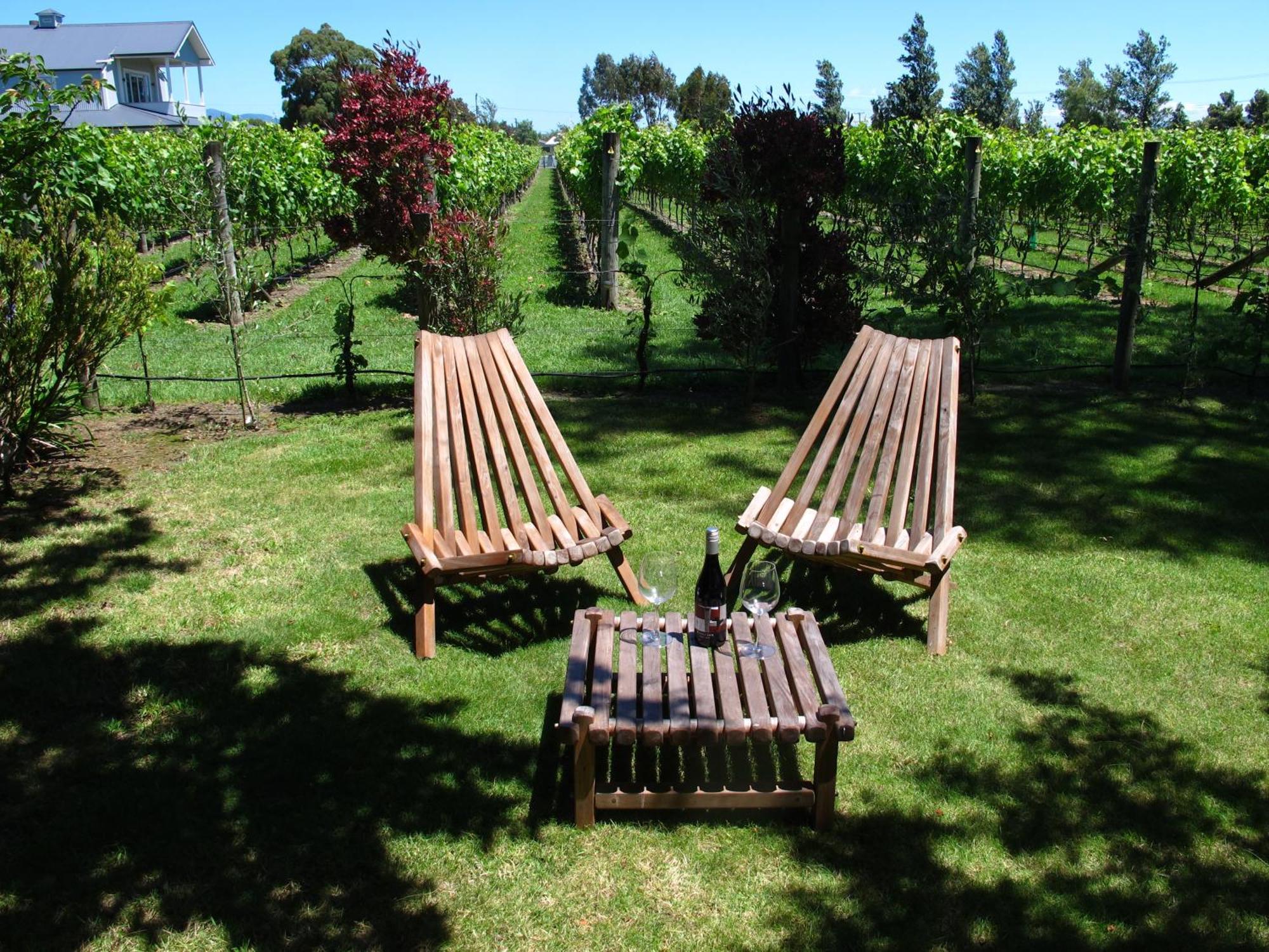 Villa In The Vines Martinborough Exterior photo